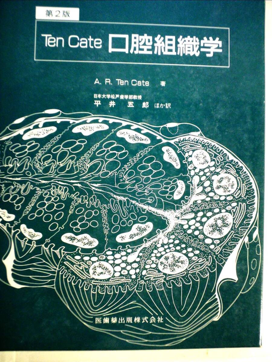 【新品・未使用】口腔組織・発生学 第2版 口腔組織・発生学第2版 | 脇田 稔, 前田 健康, 中村 浩彰, 網塚