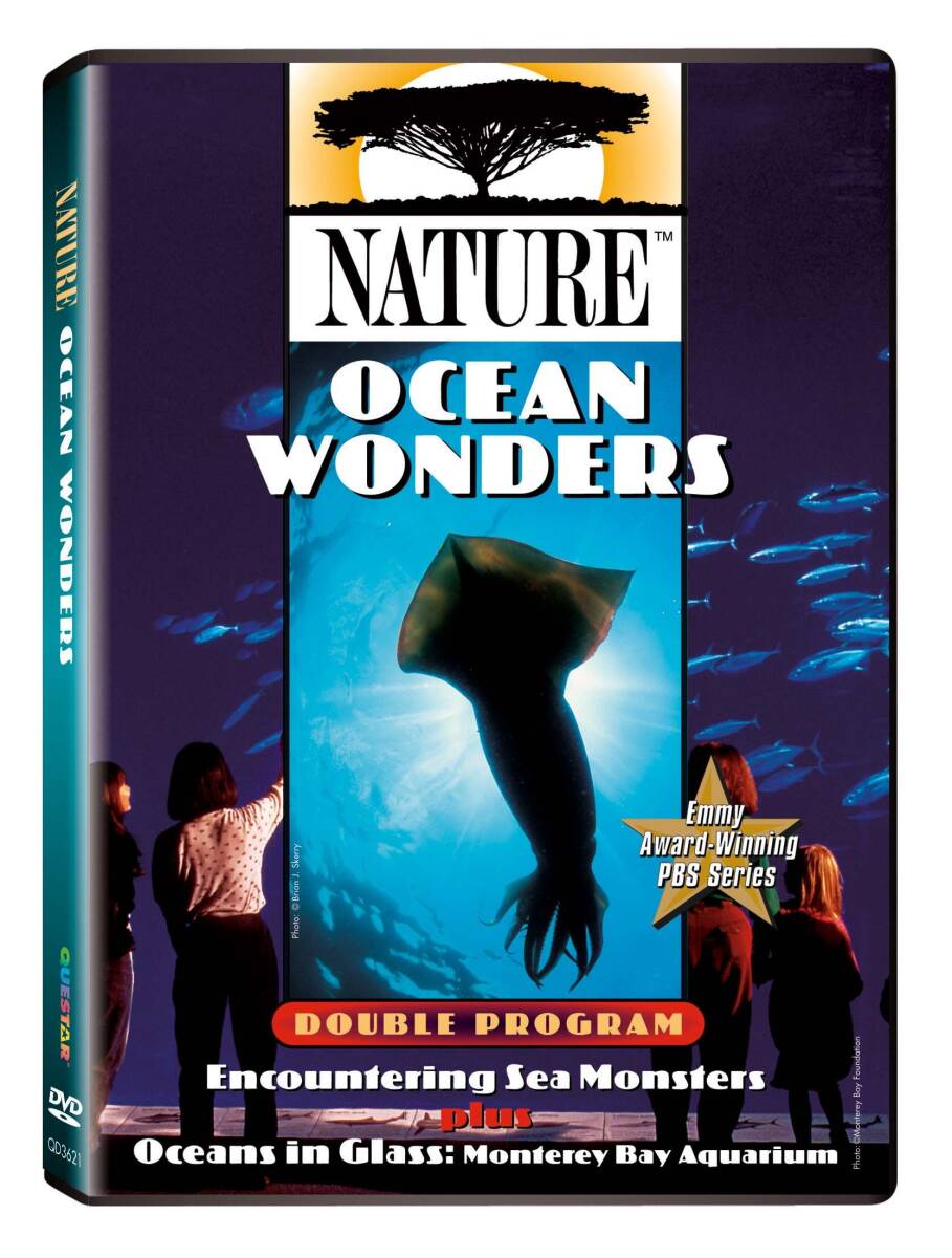 その他 Nature: Ocean Wonders [DVD] 91+NMJhCFXL._UF350,350_QL50_.jpg
