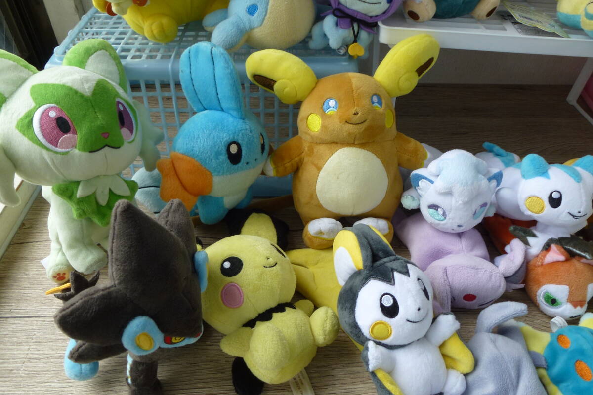 送料無料 ポケモンセンター ポケモン ぬいぐるみ まとめ