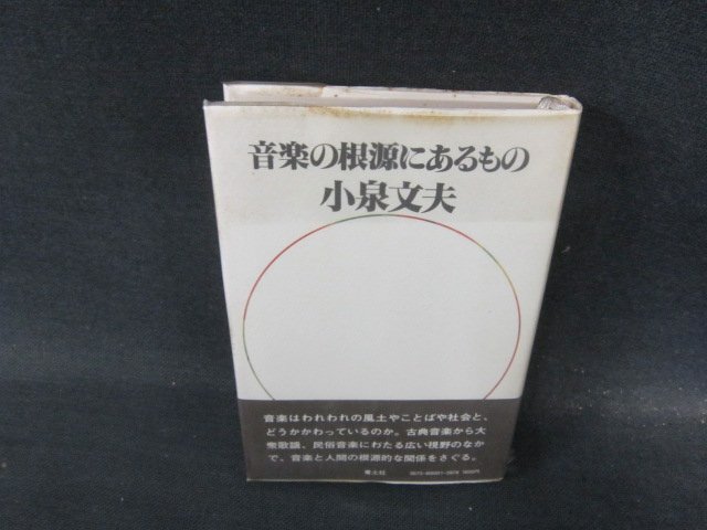  музыка. корень источник в было использовано маленький Izumi документ Хара синий земля фирма пятна иметь /JFB