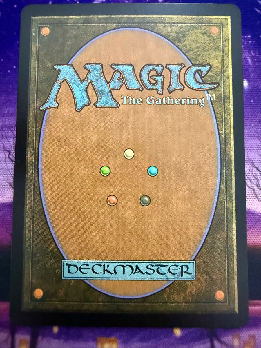 MTG/汚れた原野/Tainted Field/TOR/Foil/日本語_画像2