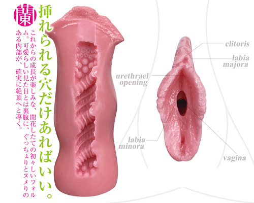 まるごと小陰唇（蘭）新品?未使用