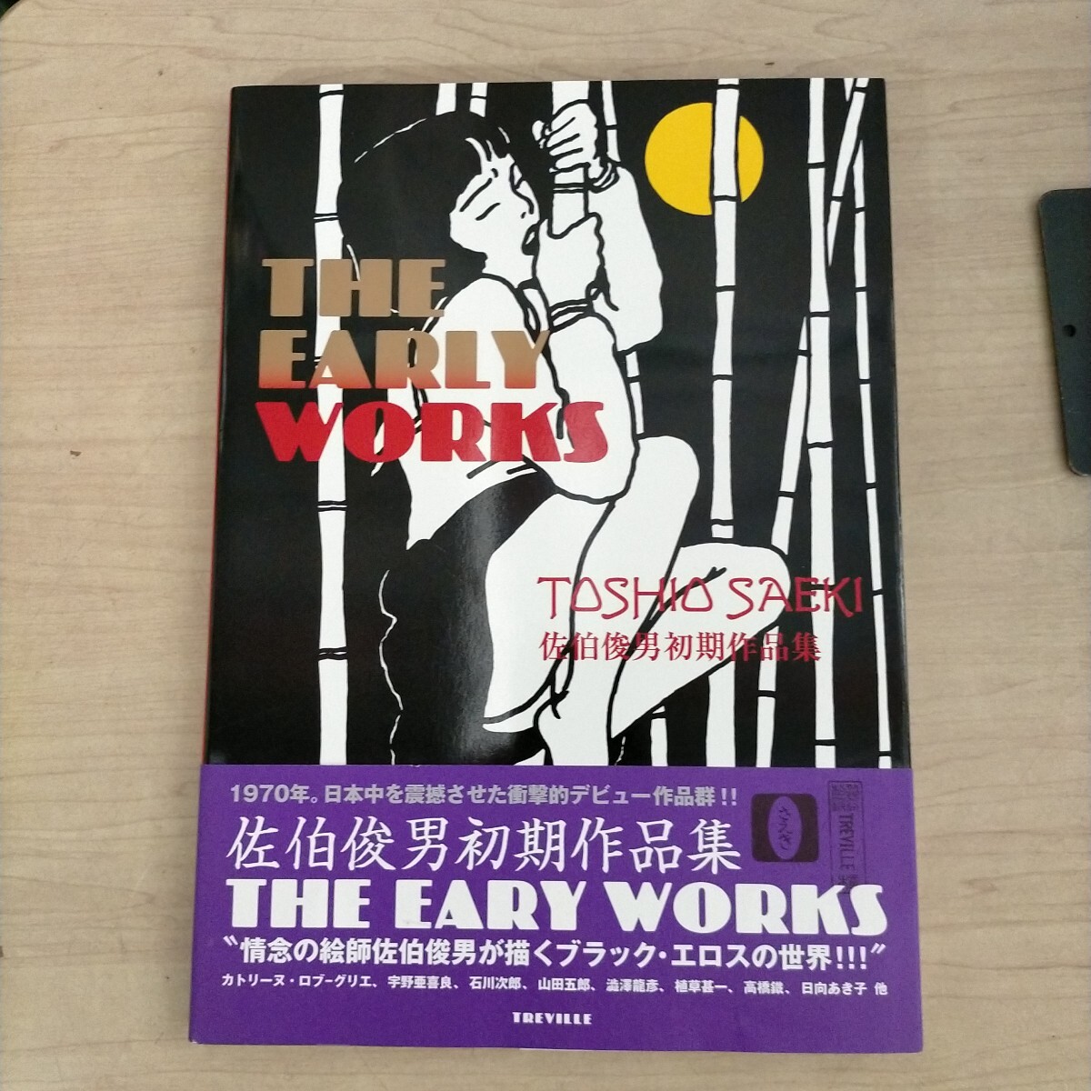 佐伯俊男 初期作品集 THE EARLY WORKS THE EARLY WORKS Toshio Saeki 佐伯俊男初期作品集 1997年初版