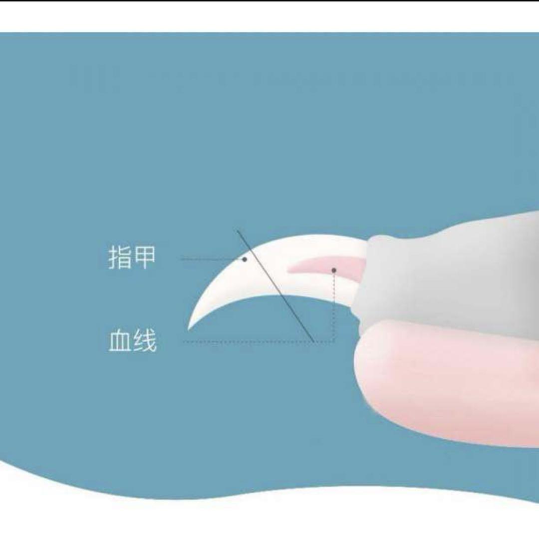 ペット用爪切り ハサミ カット お手入れ ペット 犬猫 小動物 黒_画像9