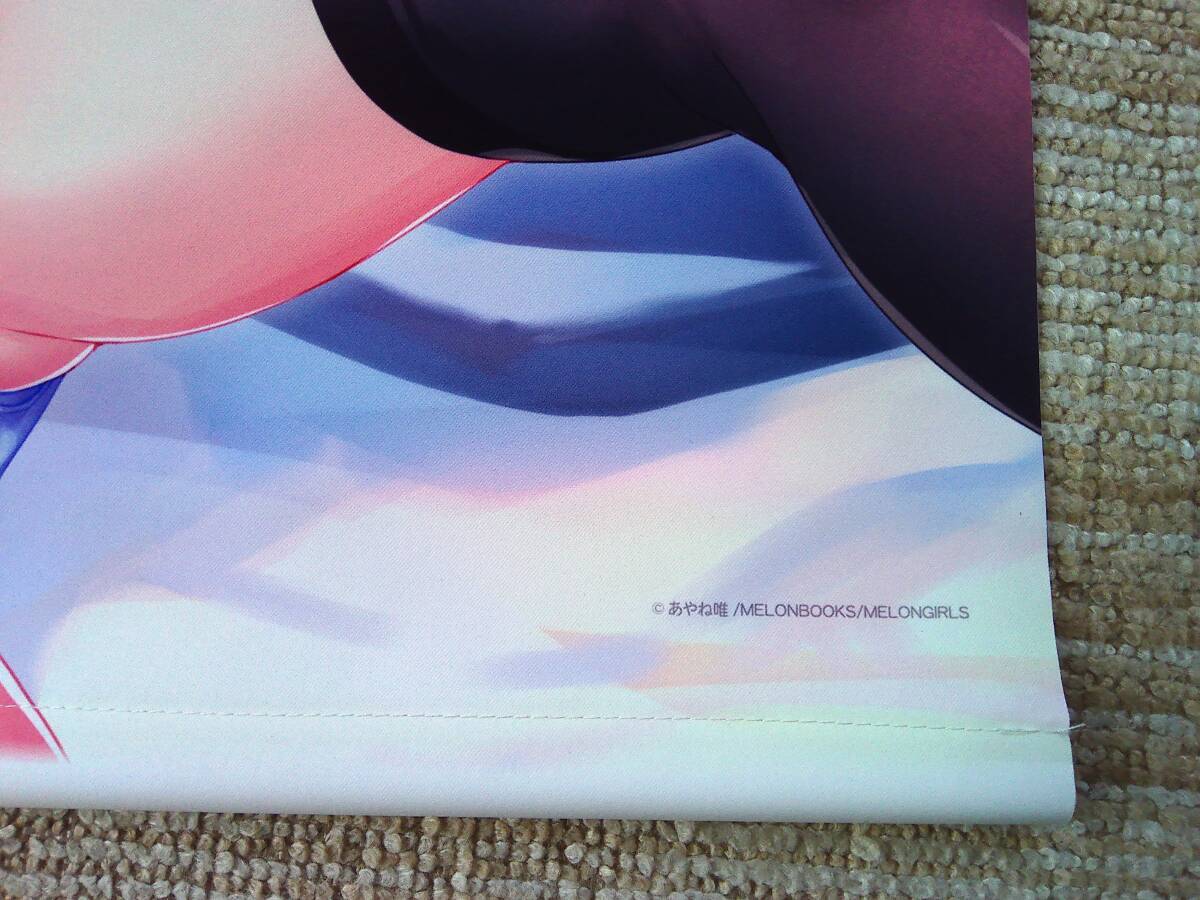 【B2Wスエードタペストリー】 あやね唯 プロデュース企画 絵柄B ブラックベリー 制服 うり坊ざっか メロンブックス_画像4