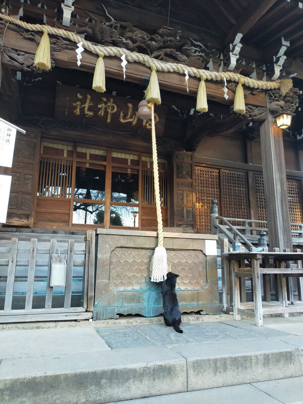 精米日『5月中旬~上旬』 ひとめぼれ 白米20Kg(10Kg×2)令和6 精米日『5月中旬~上旬』 ひとめぼれ 白米20Kg(10Kg×2)令和6