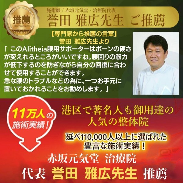 腰サポーター コルセット 腰痛 大きいサイズ 腰用 腰サポートベルト 腰椎サポーター 通気性 メッシュ 驚きのホールド感 「真理」6Lサイズ