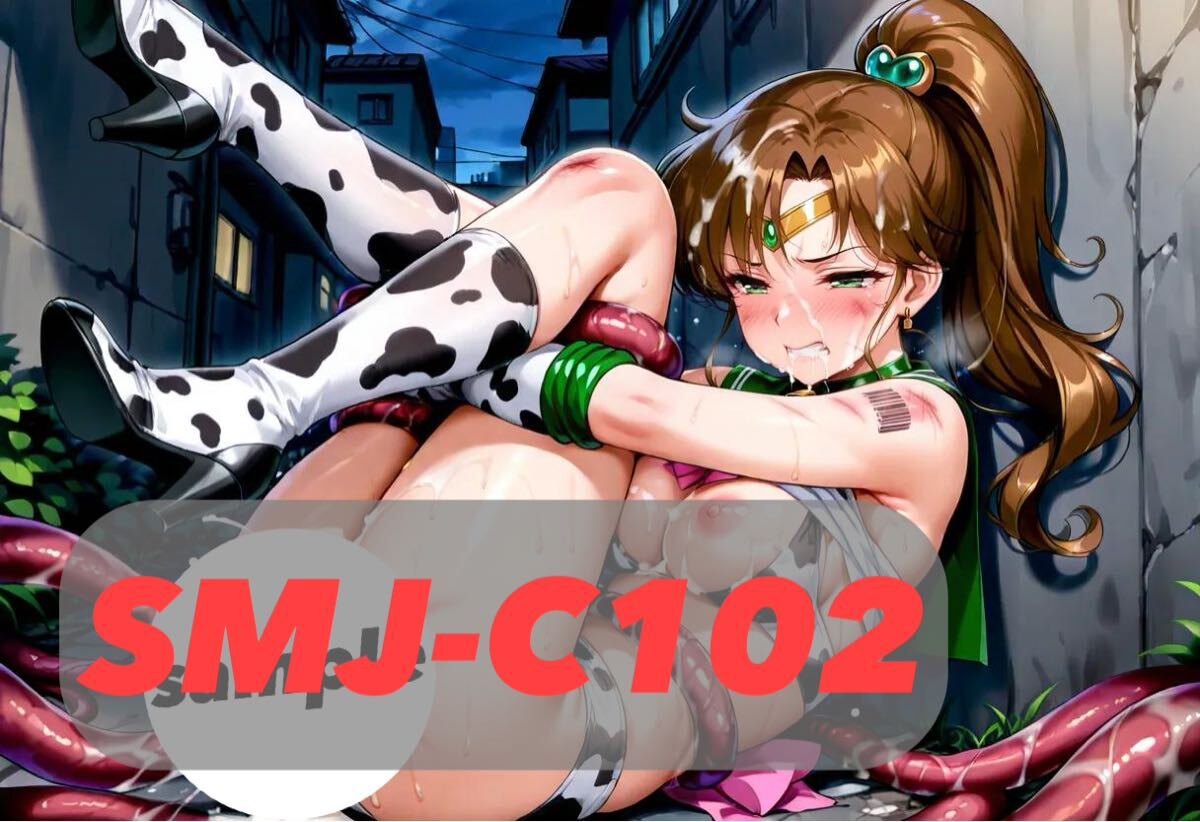 5枚セット SMJ-C14 オリキャラ/アニメ/AI/同人/ブロマイド/イラスト/L判/寫真/ポスター/オリジナルキャラ