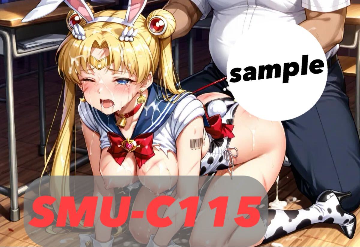 5枚セット SMU-C14 オリキャラ/アニメ/AI/同人/ブロマイド/イラスト/L判/寫真/ポスター/オリジナルキャラ