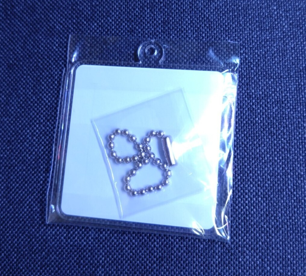 テイラースウィフト TTPD キーホルダー 