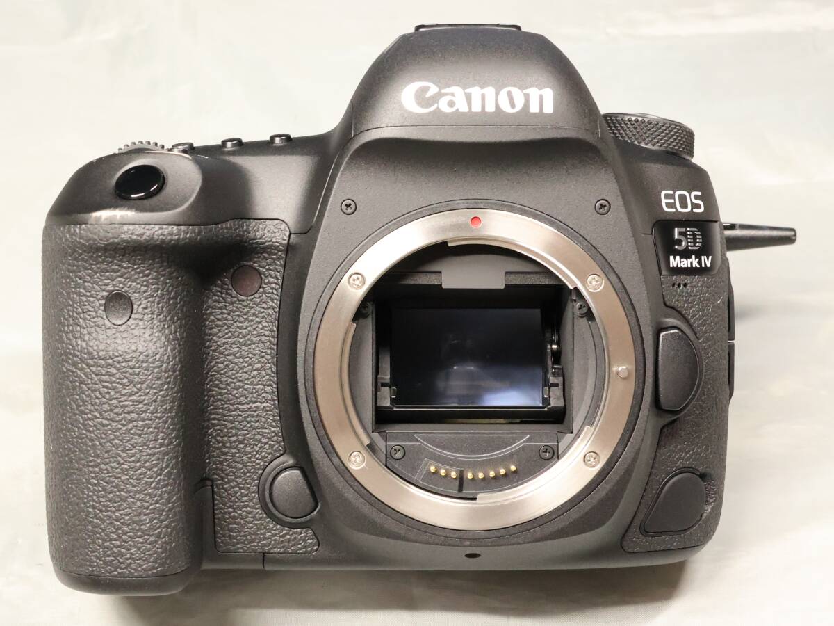CANON Canon EOS 5D Mark IV царапина, удар след царапина есть 1800 Schott обычный работа б/у товар 