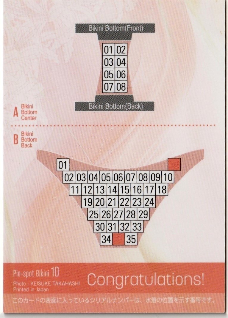  немного sili35 листов ограничение [Hit's длина ....Vol.3]35/35 булавка spo бикини карта 10( хлеб ti задний самый нижняя часть максимально высокий часть ) коллекционная карточка 
