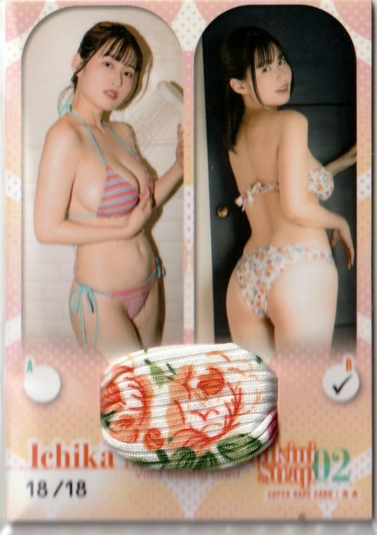  немного sili18 листов ограничение [Hit's не груша один цветок Vol.3]18/18 бикини ремешок карта 02B коллекционная карточка 