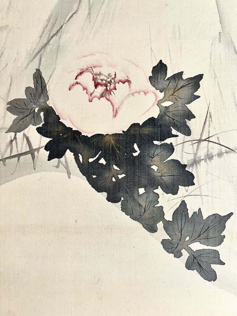【真作】【仙】木村武山「日之出寒牡丹」絹本 肉筆 合箱 金泥 雪中 花鳥図 鳥獣 雀 絵畫 掛軸 明治-昭和の日本畫家 茨城の人 師: 川端玉章
