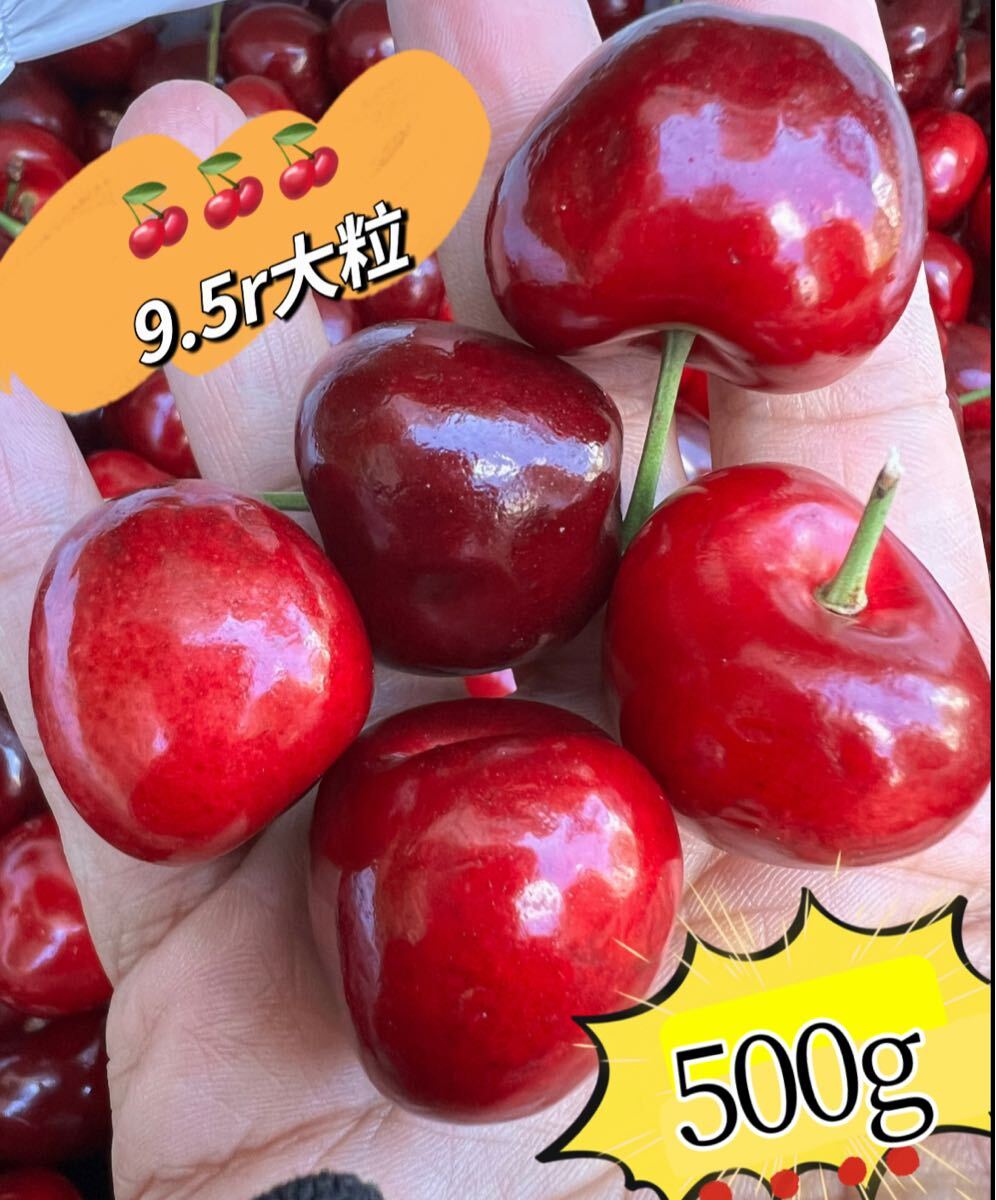 超大粒！9.5r アメリカンチェリー500g 母の日　父の日　中元　家庭用　数量限定　ポスト投函　車厘子 美國櫻桃 さくらんぼ