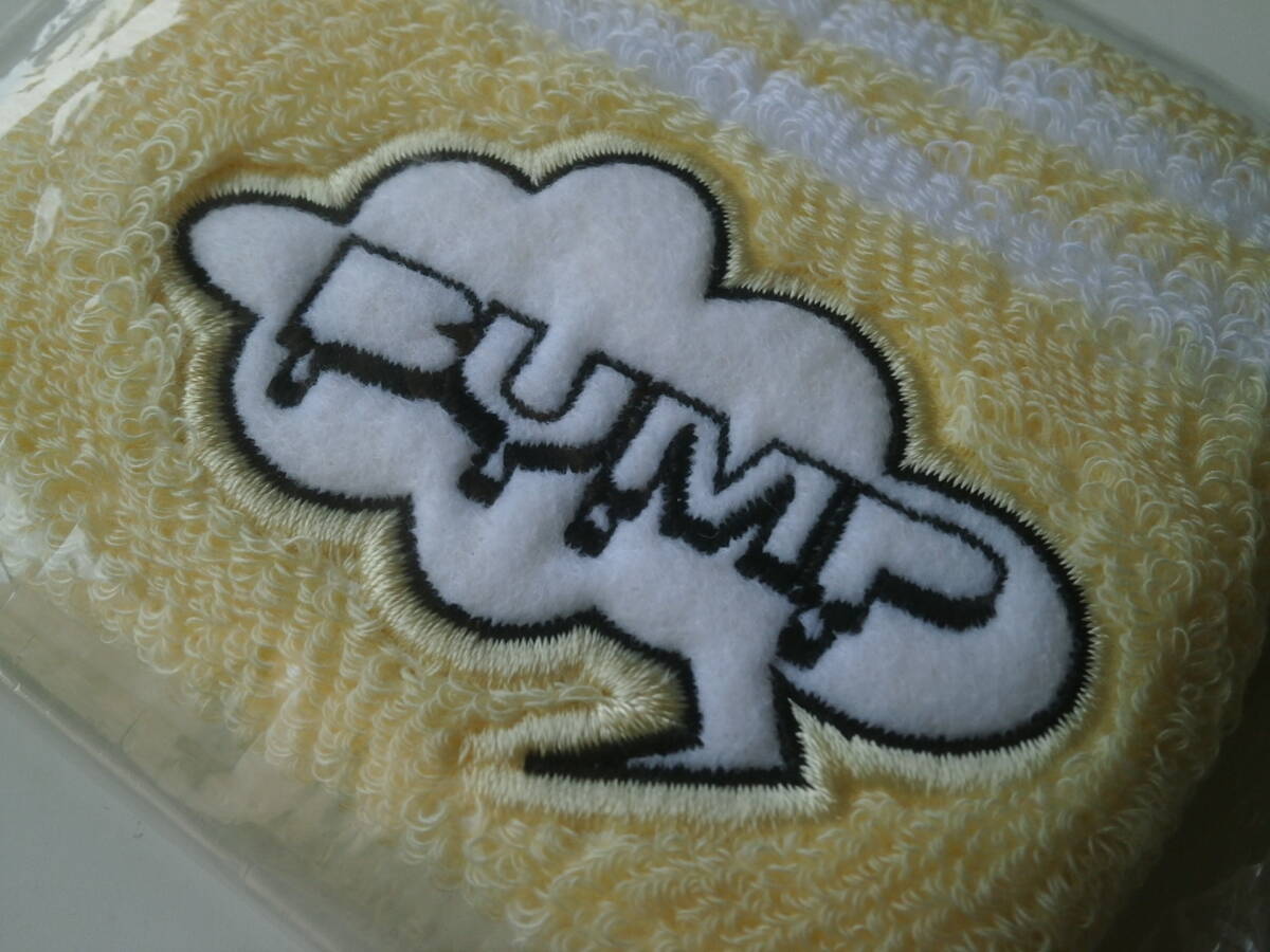 [未開封] 2003年 BUMP OF CHICKEN リストバンド グッズ ライブ バンプオブチキン フェス ツアー 邦ロック WRISTBAND live fes goods