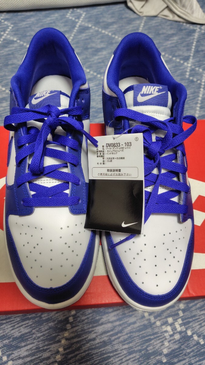DUNK LOW RETRO "CONCORD" DV0833-103 (ホワイト/ユニバーシティレッド/コンコルド)