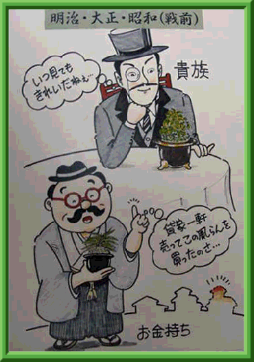 富貴蘭「黒牡丹縞実生f2\32600+苔臺(tái)6ヶ」★廃業(yè)特価★ツイ最近表記で落札したが體調(diào)で泣く泣く1本子付き種木★第四種鉢無根巻発送に限無料
