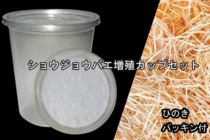 ショウジョウバエ　増殖　カップセット?。常播螗梗?46ml）５個セット　+ヒノキ　パッキン