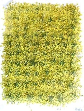 業(yè)務用 押し花　レースフラワー黃色染　1000輪入 大容量 1000枚ドライフラワー デコ レジン 封印