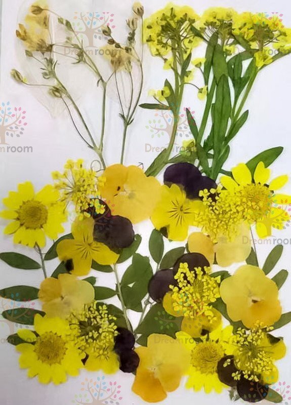 押し花 素材 ドライフラワー リーフ クラフト レジン　押し花セット（D）
