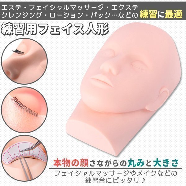 練習(xí)用 マネキン 顔 フェイス 土臺 フェイスマネキン フェイシャルマッサージ マネキンヘッド エステ 柔らかいまつ毛エクステ まつエク