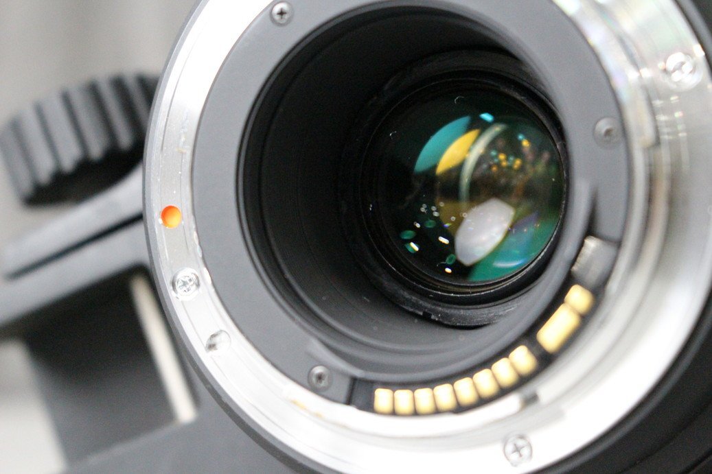 【C】SIGMA DG 50-500mm F4.5-6.3 APO HSM ズームレンズ シグマ 3065767