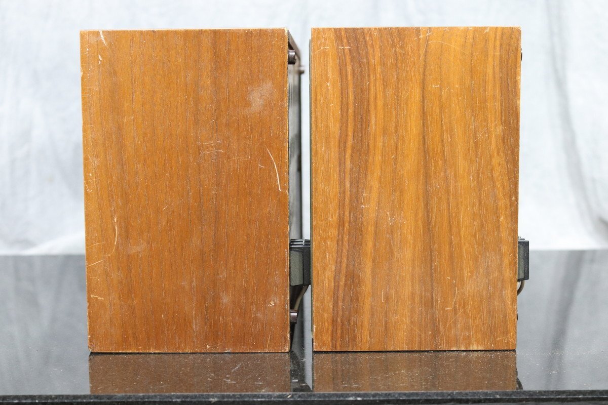 【C】TELEFUNKEN RS 5 スピーカーペア テレフンケン 3106397