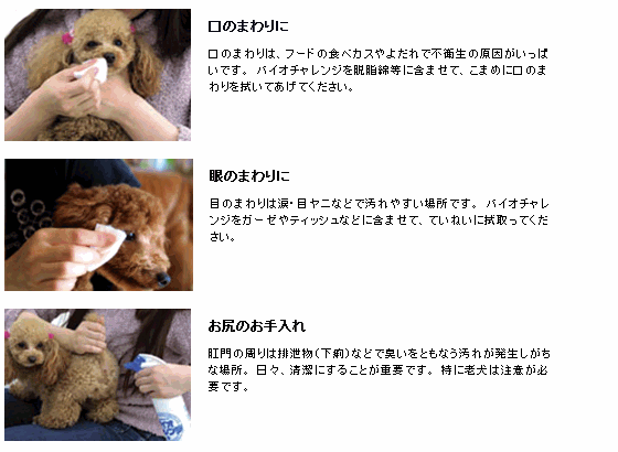 ■2799円～■送料無料！【バイオチャレンジ お試しセット】トイレの臭いも除菌もこれ1本でOK！スプレーボトルと詰替えボトルのお得なセット