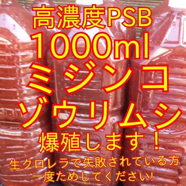 送料無料★ミジンコ、ゾウリムシ爆殖します★自家培養(yǎng)★高濃度光合成細(xì)菌PSB1000ml＋培養(yǎng)用エビオス錠９錠★生クロレラも出品中★