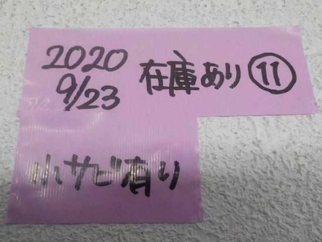 ♪未使用　長期保管品　ハンドソー（ノコギリ）（11）　2020-9/23　（3-9）_画像6