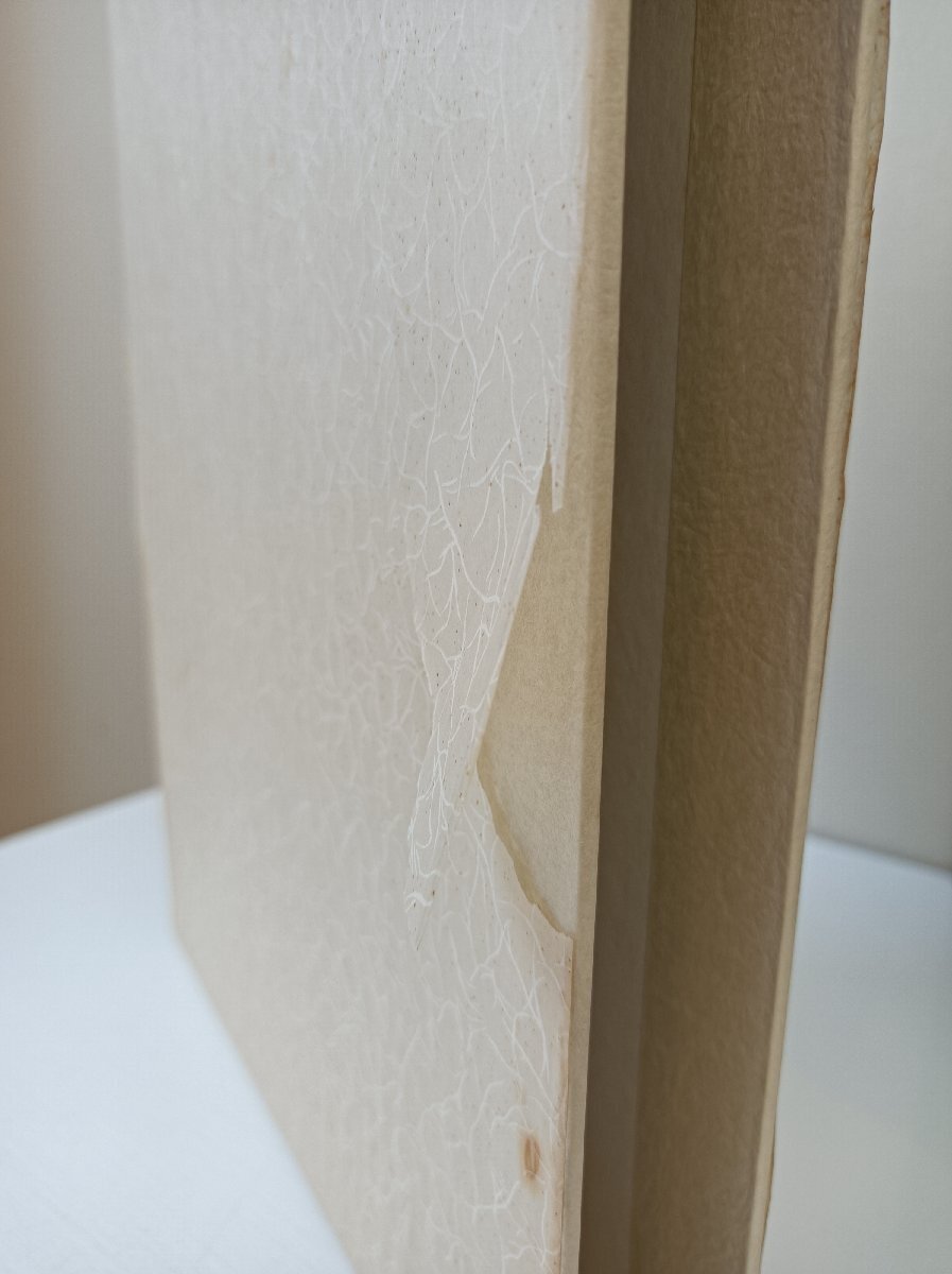 日本草木染譜 記念復刻版 山崎斌著 限定1200部の内 第140番 1986 外箱付き 染織と生活社/糸染/植物/灰汁/椿/紫蘇/藍/クチナシ/B3506148_画像7