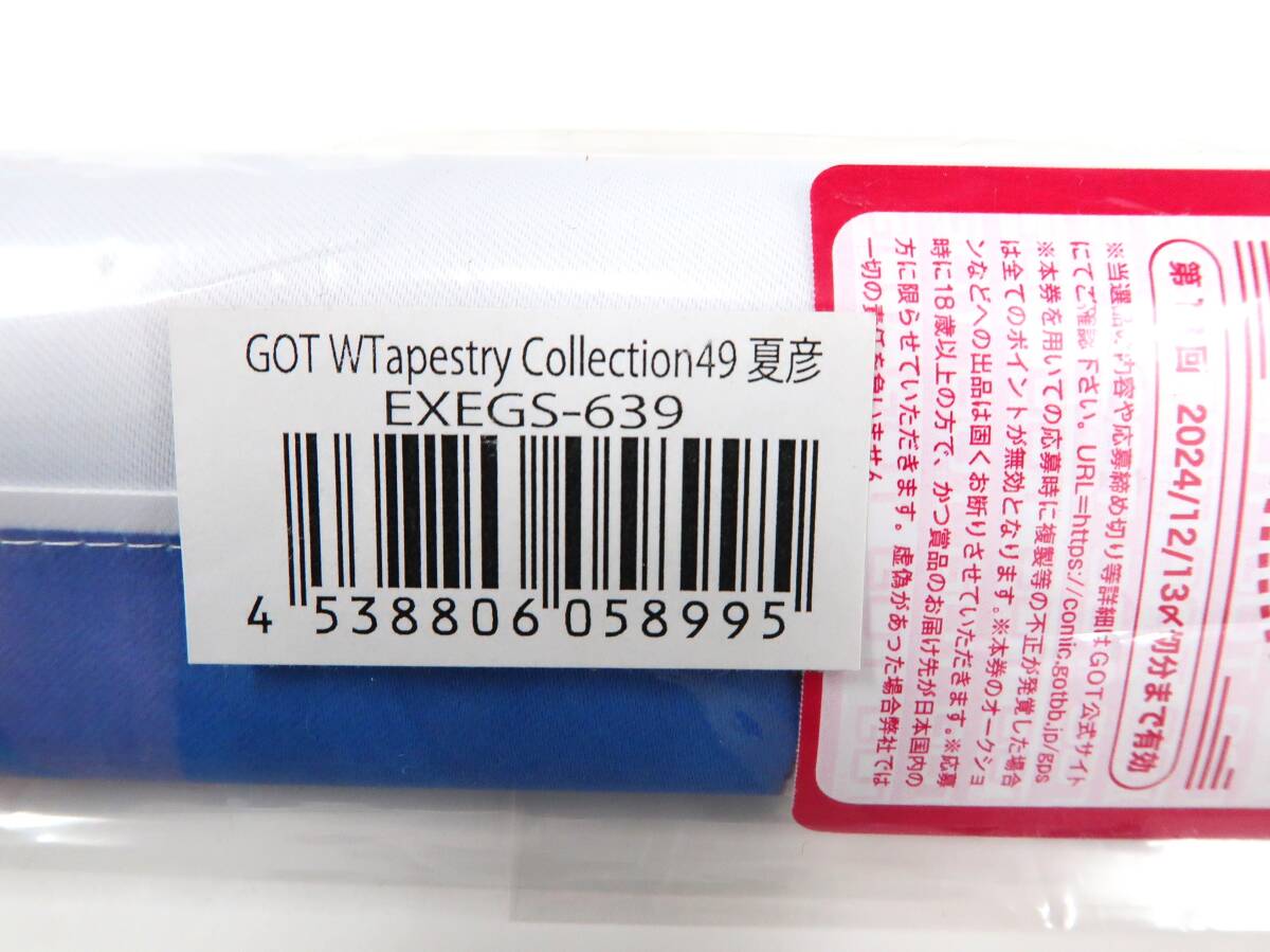 Rh2/夏彥 GOT WTapestry Collection49 B2Wタペストリー (2枚仕様)//
