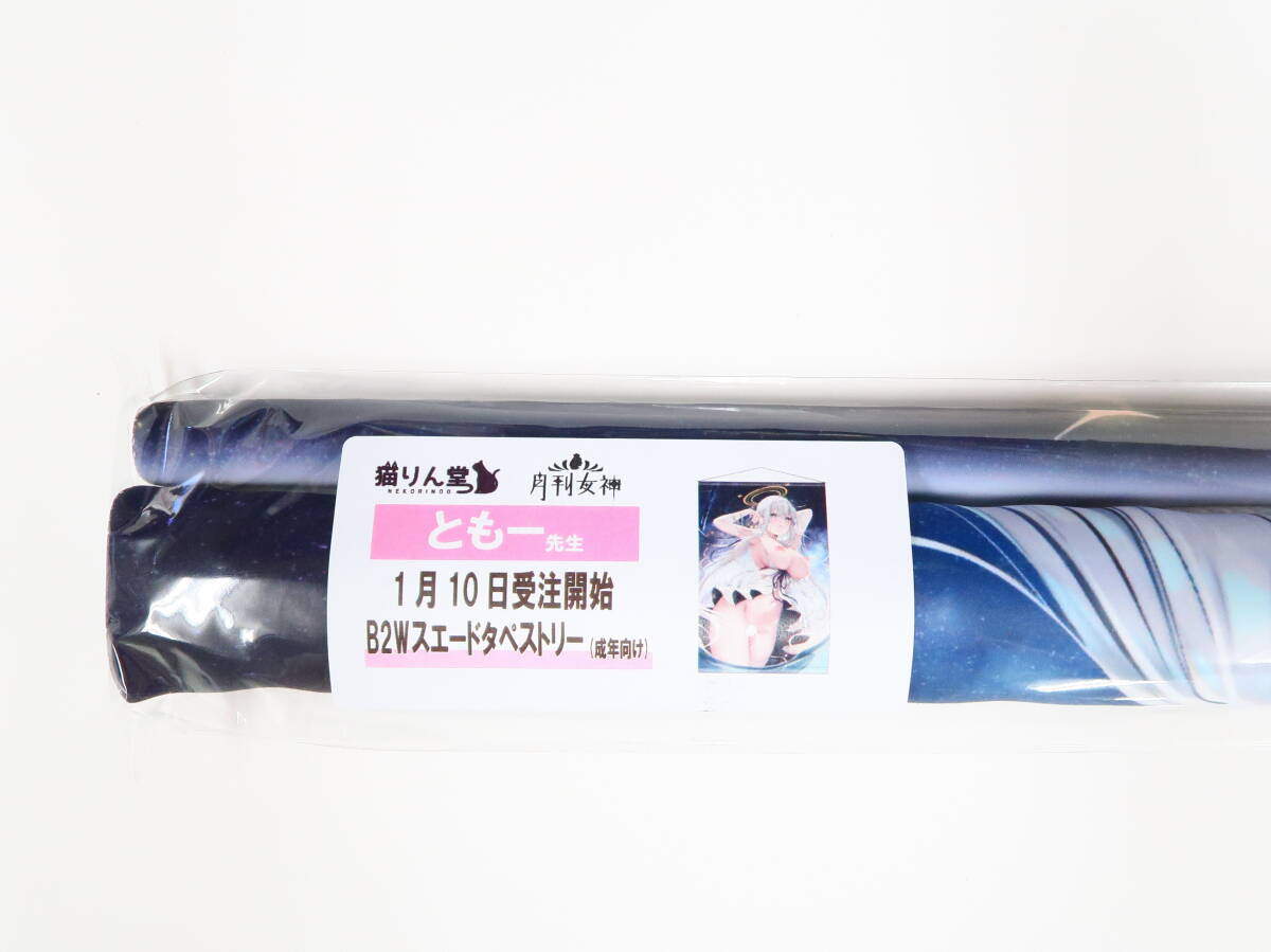 Ri0/ともー 貓りん堂 月刊女神 1月10日受注開始分 B2Wスエードタペストリー (R18)//