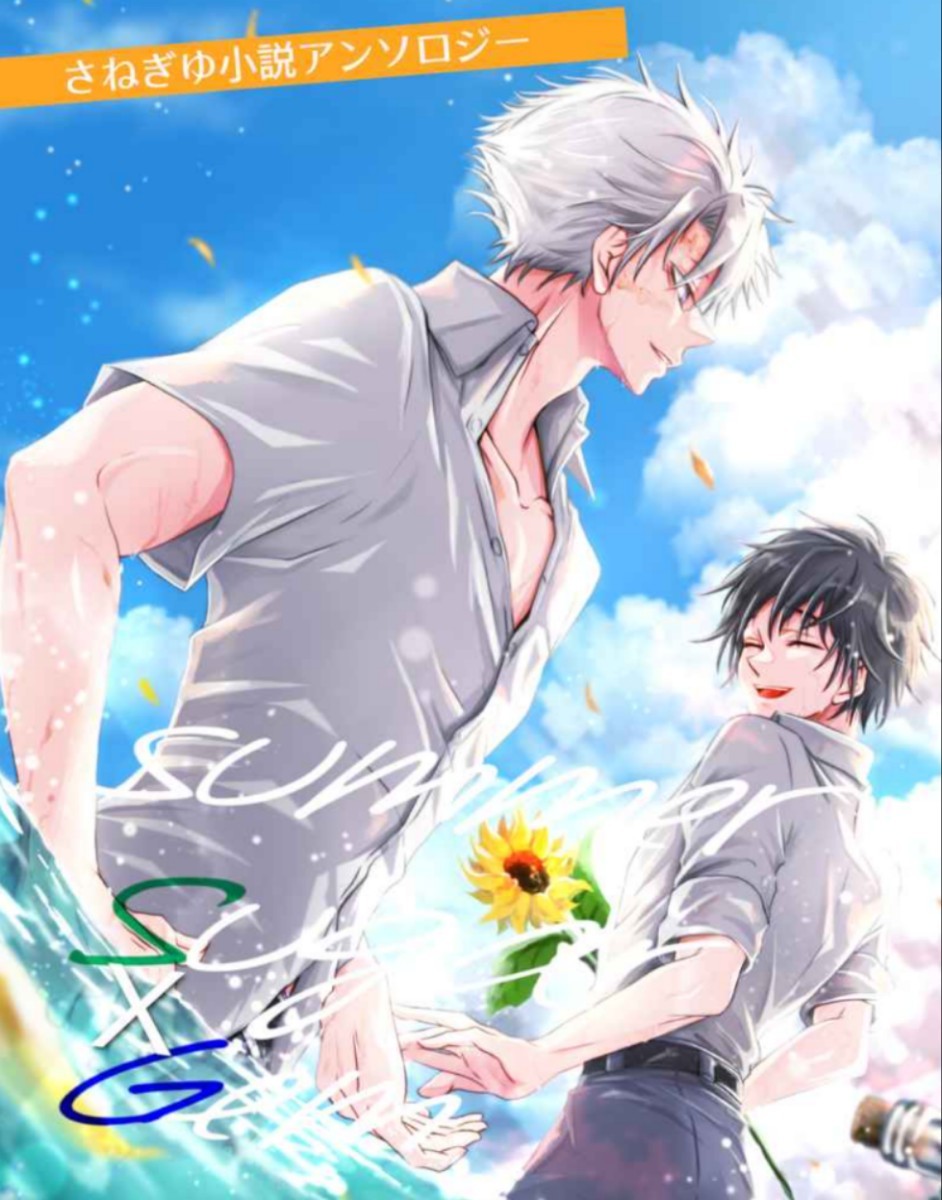 さねぎゆ 小説&漫畫 8冊 ◆鬼滅の刃　同人志　不死川実彌×冨岡義勇　りょうけいじゅつかんとう様 アンソロジー 完売品　レア　ハピエン