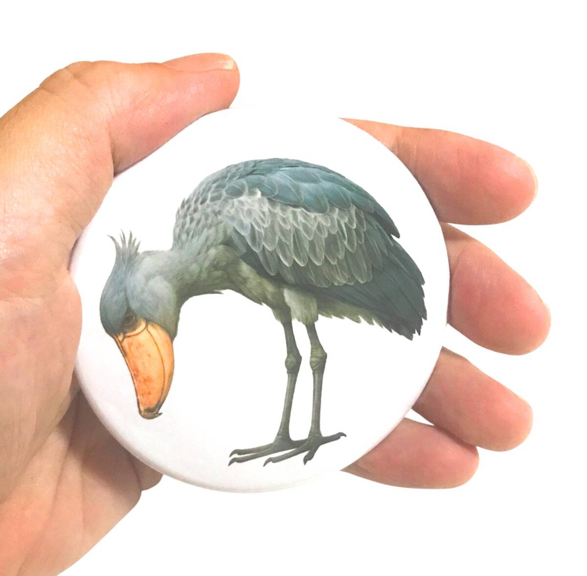 ハシビロコウ　鏡　ミラー　グッズ　お辞儀　鳥類　珍獣　動かない鳥　挨拶　mirror　Shoebill_画像1