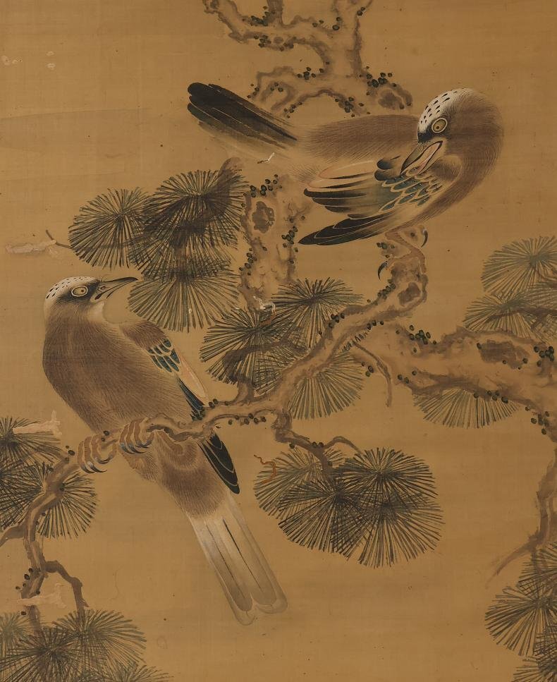 模写】◇圓山應舉 (円山応挙）◇松に鳥◇日本画◇絹本◇掛軸