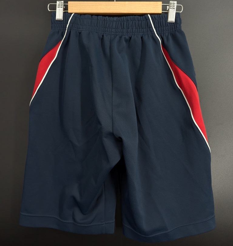 6634S TIGER 大坂 青凌 レディース 體操 體育 スポーツウエア Tシャツ ハーフパンツ 上下 セット Lサイズ