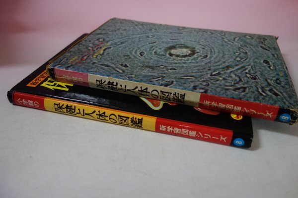 71660# здравоохранение . тело человека. иллюстрированная книга Shogakukan Inc.. новый учеба иллюстрированная книга серии 8