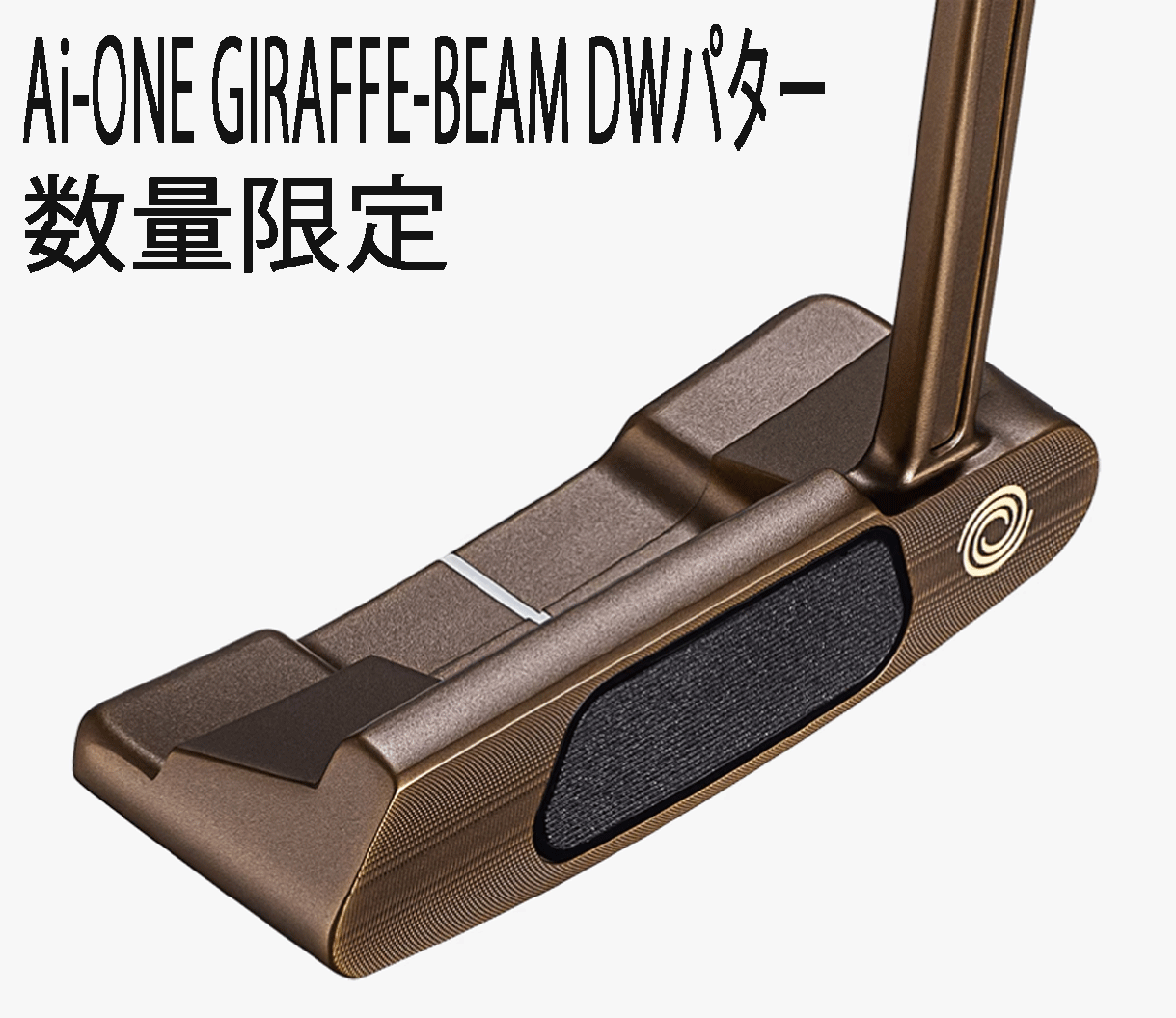 オーダーページ 新品□オデッセイ□数量限定□2025.5□AI-ONE GIRAFFE-BEAM□DW