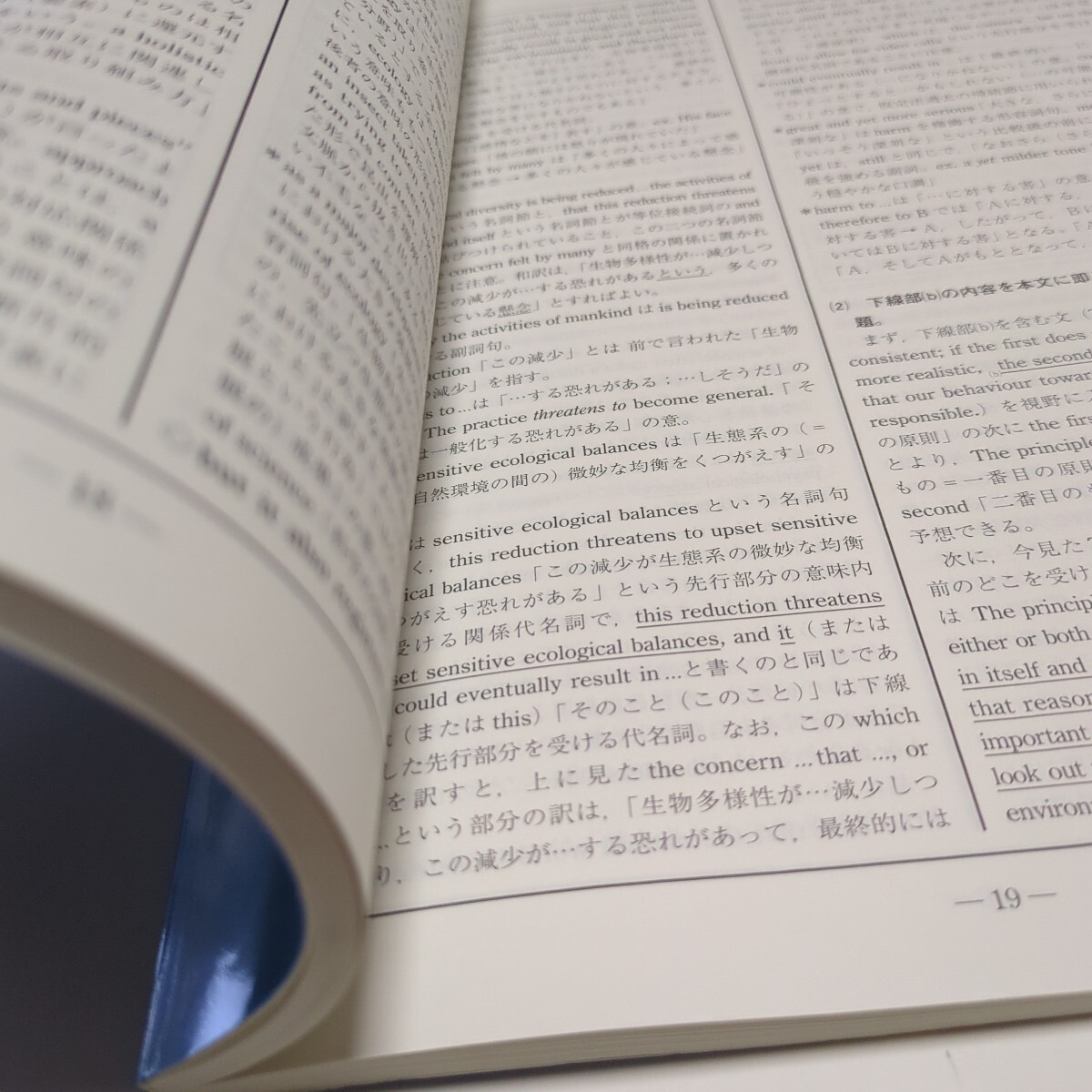 2023年版 実戦模試演習京都大学への英語　２０２３年版 （駿台大学入試完全対策シリーズ） 全国入試模試センター／編 中古 問題集 英文解釈