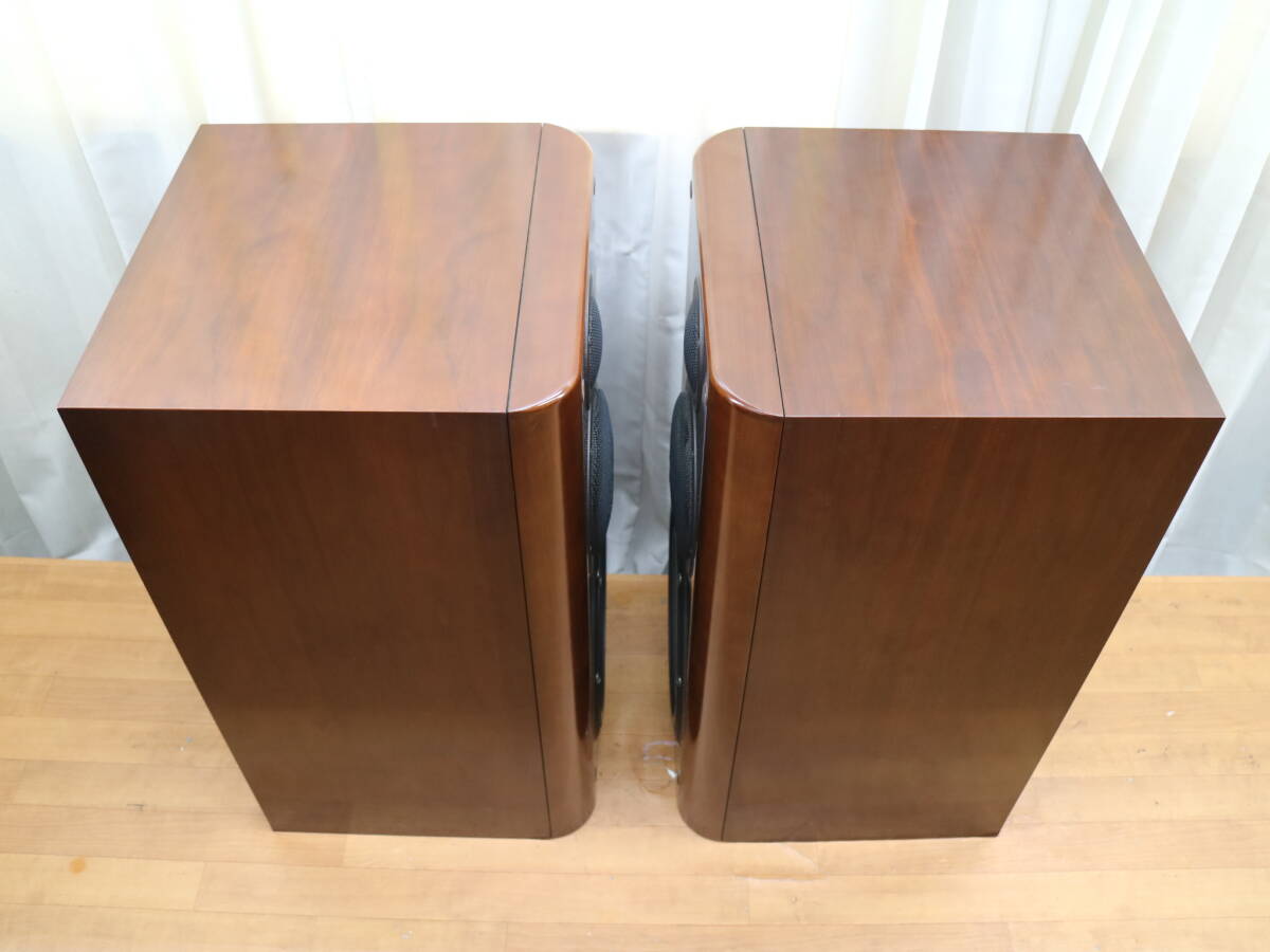 ONKYO - Scepter 1001 динамик пара (T-411)