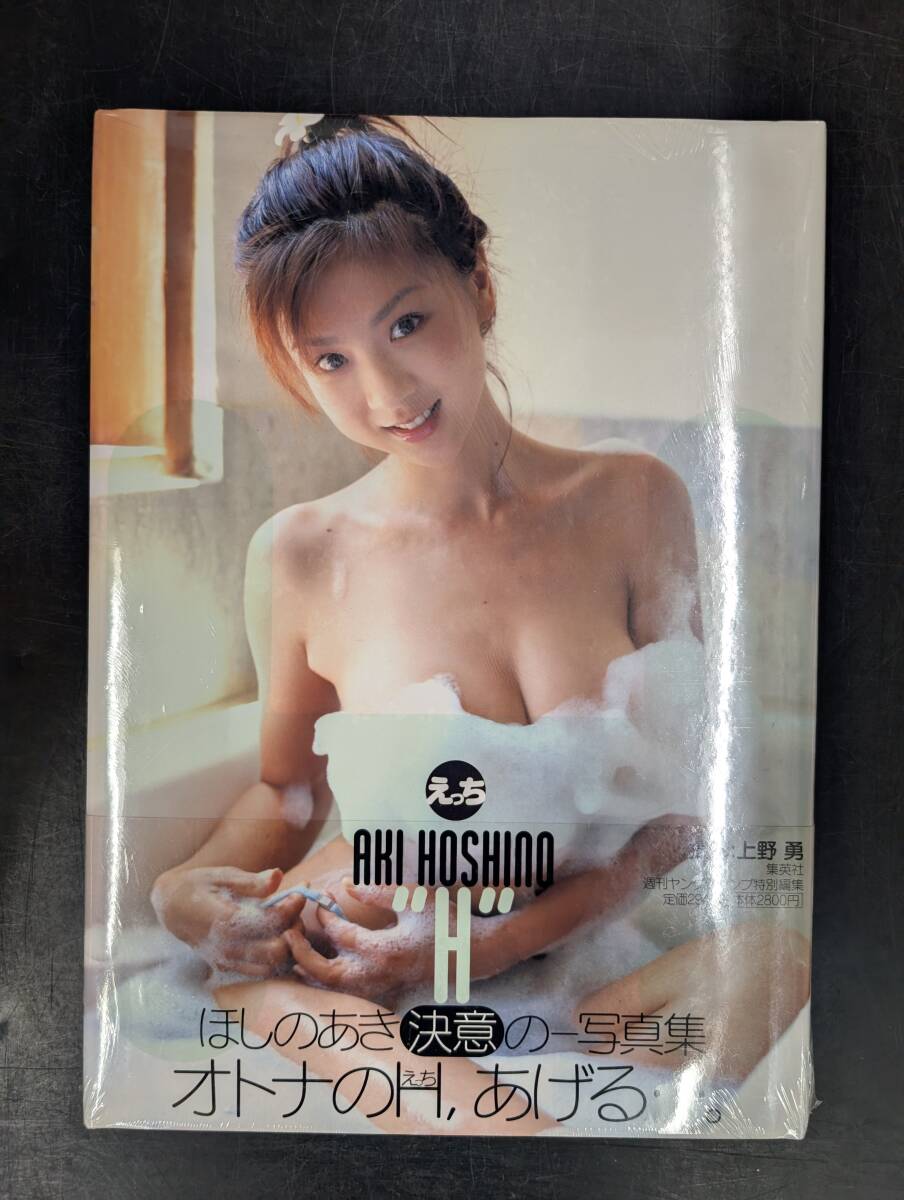 未開封新品寫真集　ほしのあき寫真集 H（えっち）/SYA8882002100917