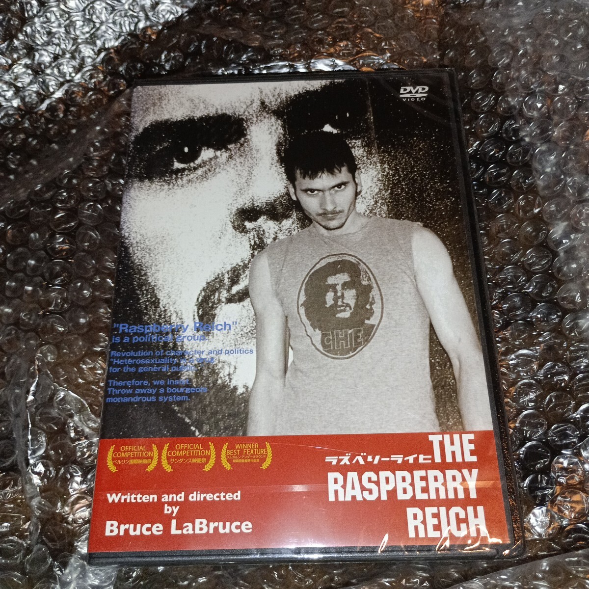 新品未開封品　ラズベリーライヒ／ＴＨＥ ＲＡＳＰＢＥＲＲＹ ＲＥＩＣＨ／スザンネザクセ　DVD_画像1