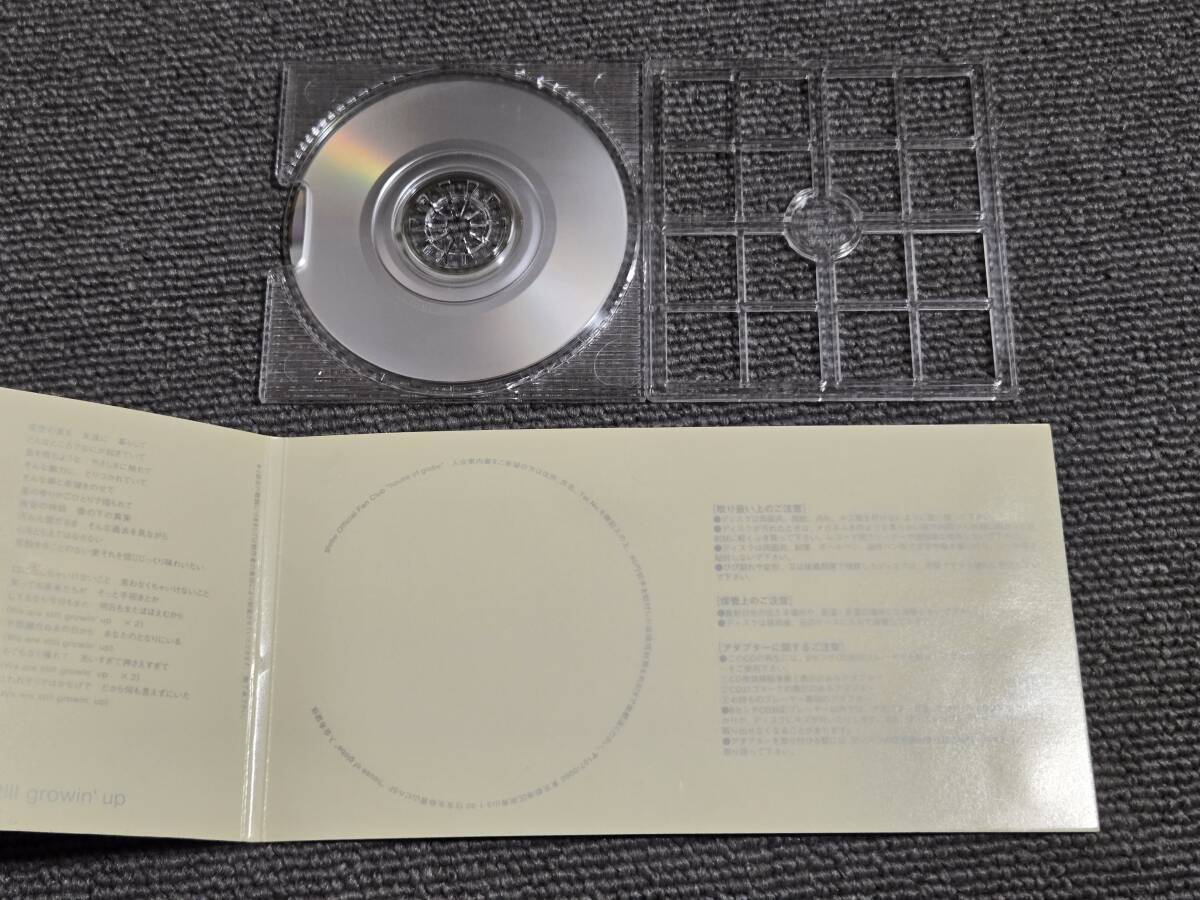 【トレイ外れ】globe / still growin’ up■8cmシングルCD■型番:AVDG-71018■■AZ-6661_画像4