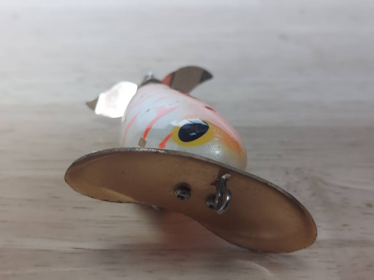 ビバ　でんぐりガエル鲇sp
