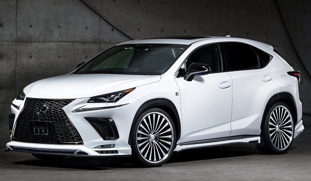 M'z SPEED フロントハーフスポイラー 未涂裝 FRP レクサス NX300h AYZ10 AYZ15 H29.9～R3.10