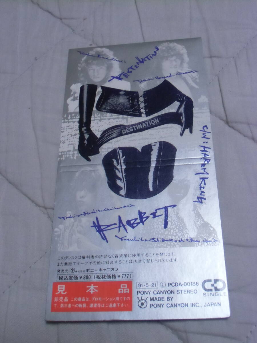 ◆J4◆ 8cm シングル CD DESTINATION / RABBIT PCDA-00186 見本品_画像3