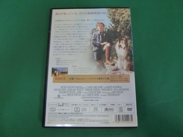 G【NK17-40】【送料無料】名犬ラッシー/子供向け/日本語字幕/吹替無し/アドベンチャー/出演：エリザベス?テイラー/DVD/※レンタル落ち