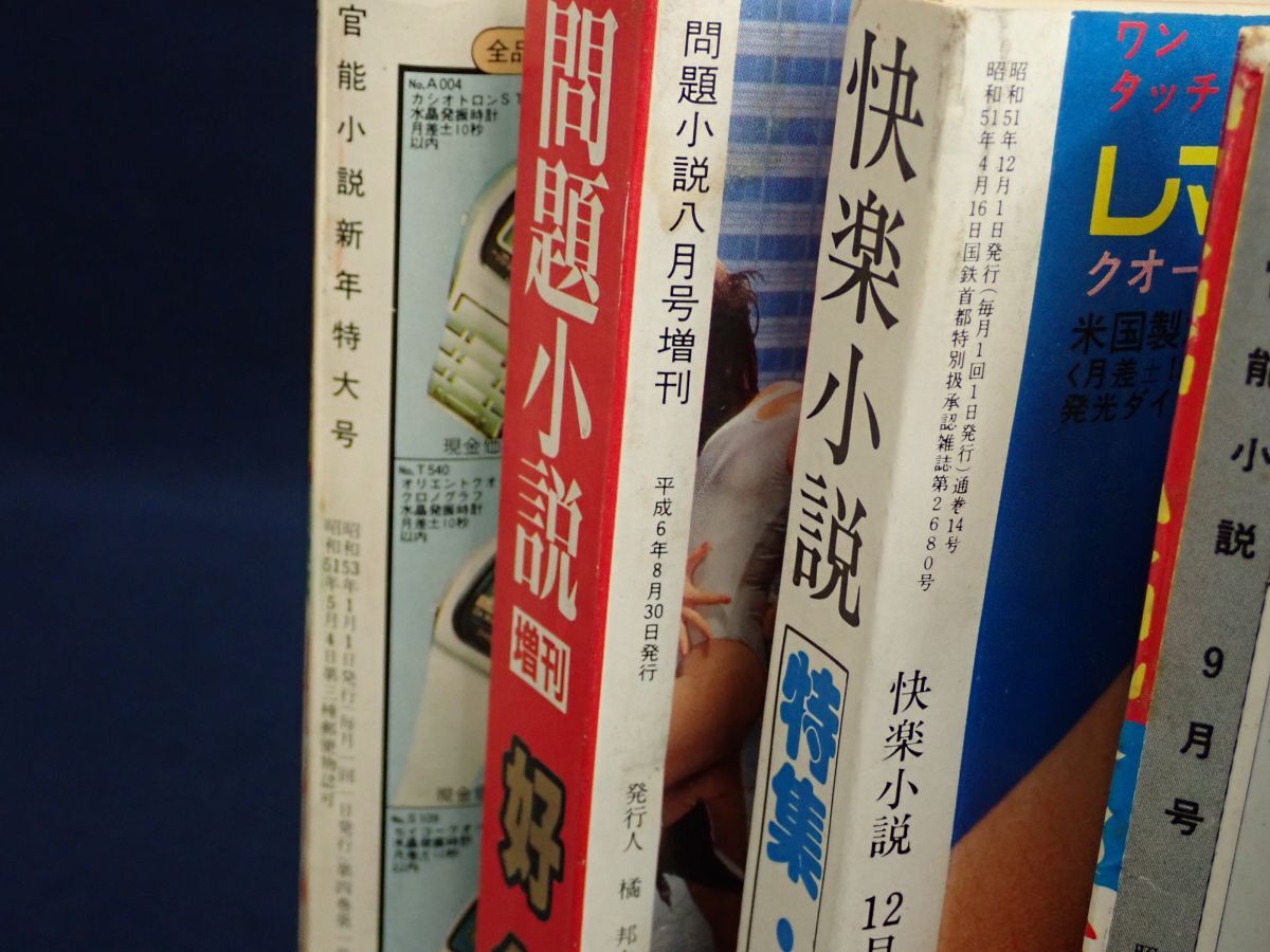 ▼成年雑志まとめて▼官能小説/問題小説/快楽小説/読切杰作集/小説エロス/昭和46年～47年/昭和51年～52年/平成6年